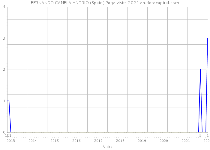 FERNANDO CANELA ANDRIO (Spain) Page visits 2024 