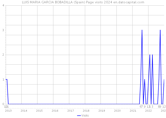 LUIS MARIA GARCIA BOBADILLA (Spain) Page visits 2024 