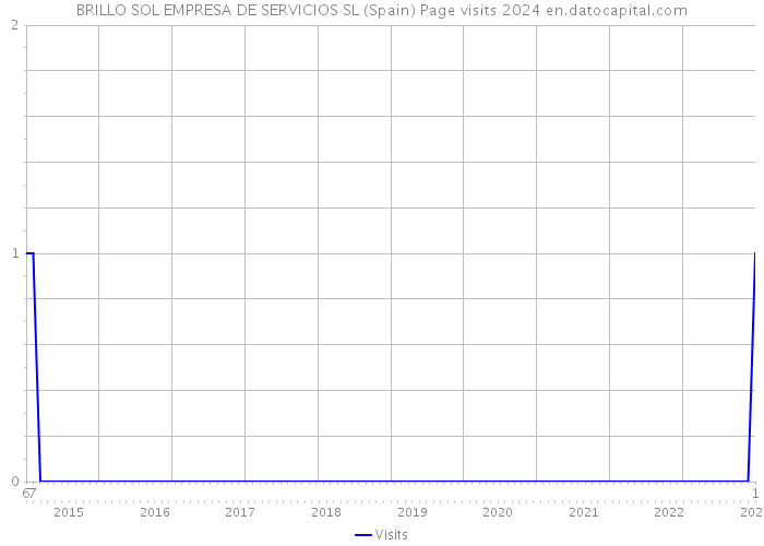 BRILLO SOL EMPRESA DE SERVICIOS SL (Spain) Page visits 2024 