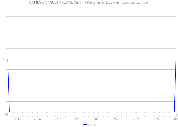 CAMES CONSULTORES SL (Spain) Page visits 2024 