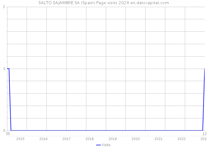 SALTO SAJAMBRE SA (Spain) Page visits 2024 