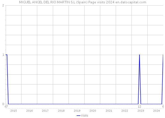 MIGUEL ANGEL DEL RIO MARTIN S.L (Spain) Page visits 2024 