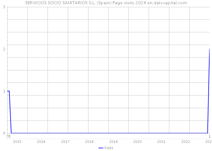 SERVICIOS SOCIO SANITARIOS S.L. (Spain) Page visits 2024 