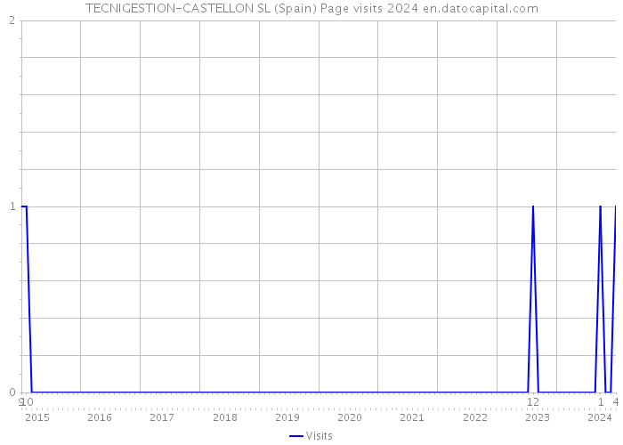 TECNIGESTION-CASTELLON SL (Spain) Page visits 2024 