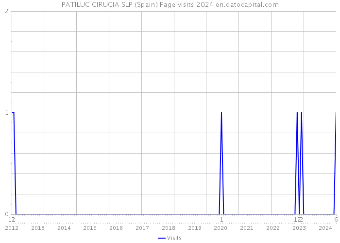PATILUC CIRUGIA SLP (Spain) Page visits 2024 