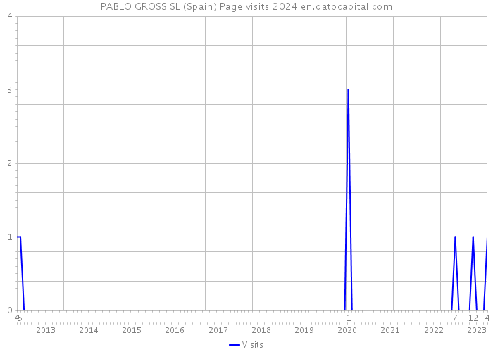 PABLO GROSS SL (Spain) Page visits 2024 