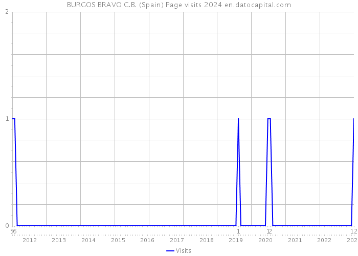 BURGOS BRAVO C.B. (Spain) Page visits 2024 