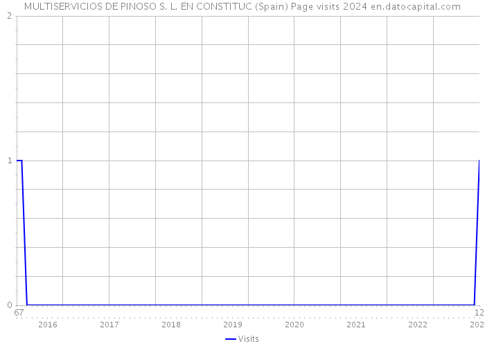 MULTISERVICIOS DE PINOSO S. L. EN CONSTITUC (Spain) Page visits 2024 
