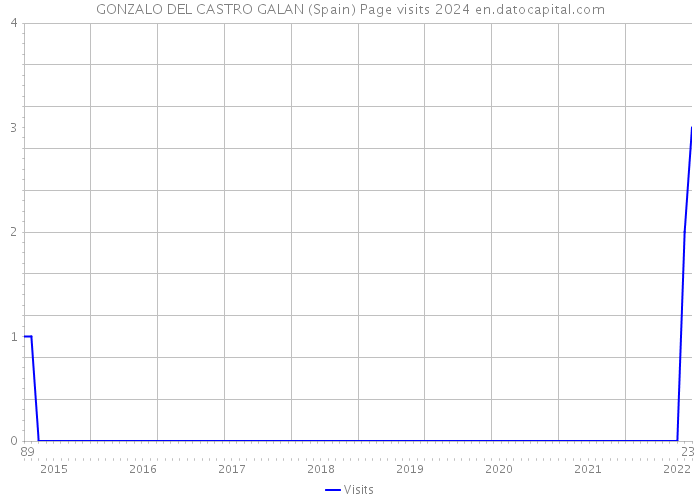 GONZALO DEL CASTRO GALAN (Spain) Page visits 2024 