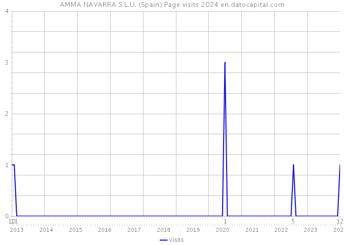 AMMA NAVARRA S.L.U. (Spain) Page visits 2024 