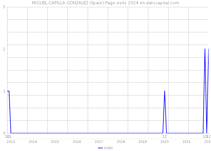 MIGUEL CAPILLA GONZALEZ (Spain) Page visits 2024 