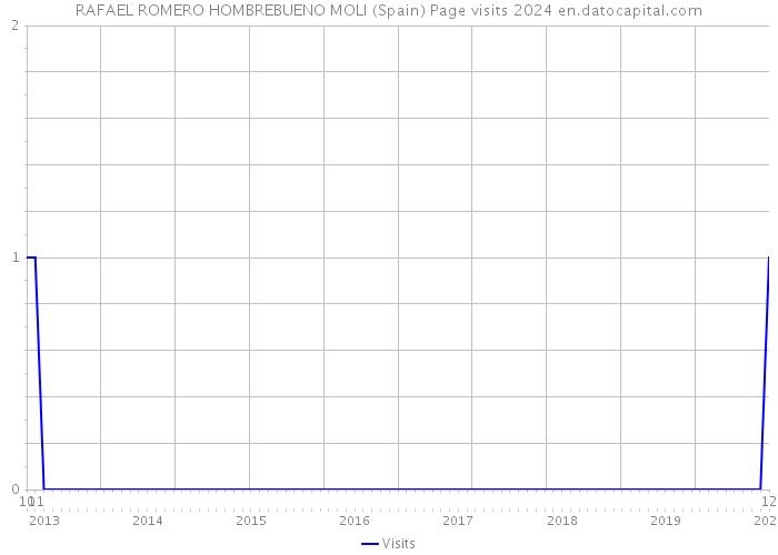 RAFAEL ROMERO HOMBREBUENO MOLI (Spain) Page visits 2024 