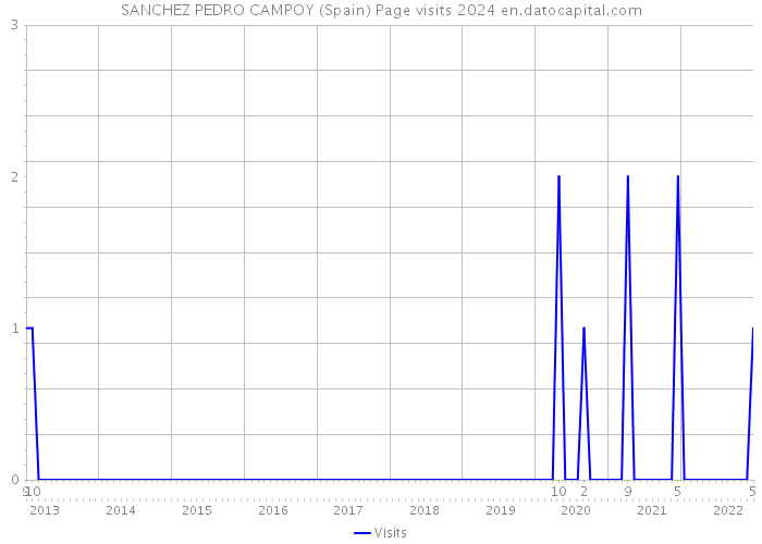 SANCHEZ PEDRO CAMPOY (Spain) Page visits 2024 