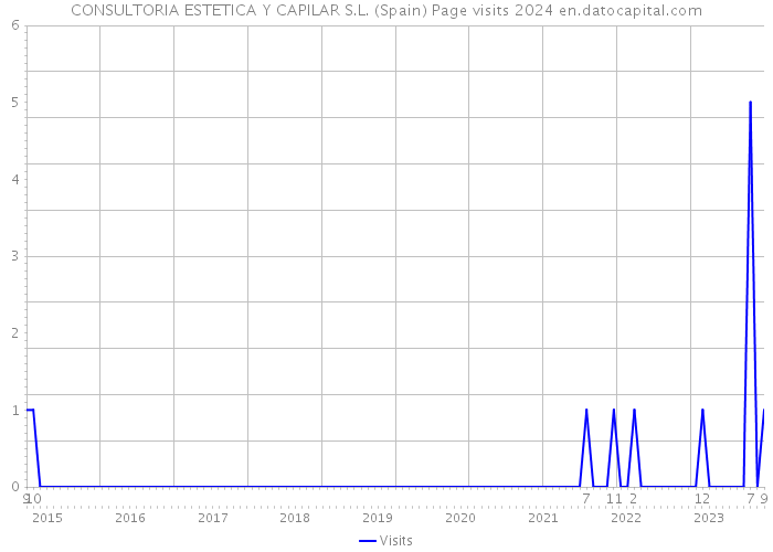 CONSULTORIA ESTETICA Y CAPILAR S.L. (Spain) Page visits 2024 