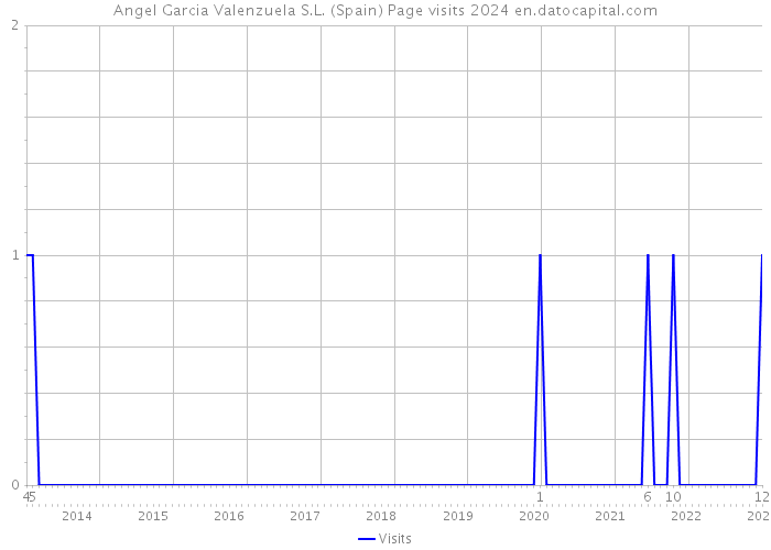 Angel Garcia Valenzuela S.L. (Spain) Page visits 2024 