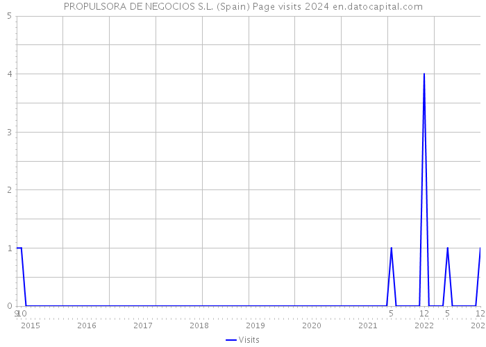 PROPULSORA DE NEGOCIOS S.L. (Spain) Page visits 2024 