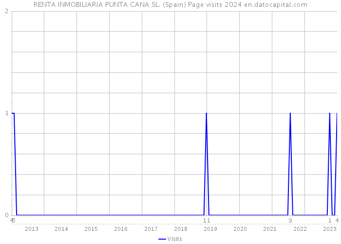 RENTA INMOBILIARIA PUNTA CANA SL. (Spain) Page visits 2024 