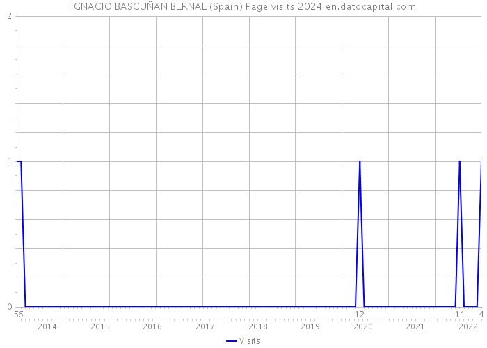 IGNACIO BASCUÑAN BERNAL (Spain) Page visits 2024 