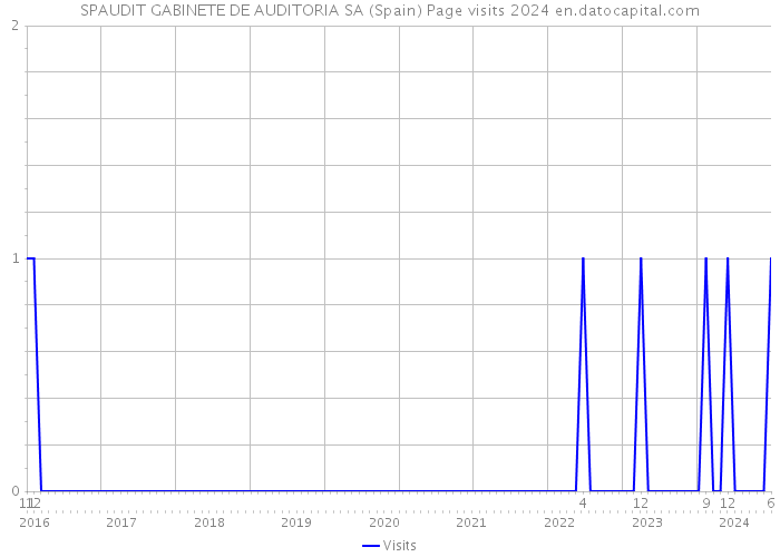 SPAUDIT GABINETE DE AUDITORIA SA (Spain) Page visits 2024 