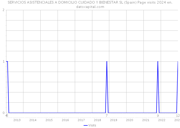 SERVICIOS ASISTENCIALES A DOMICILIO CUIDADO Y BIENESTAR SL (Spain) Page visits 2024 
