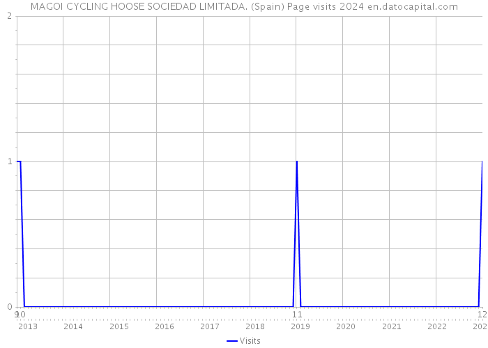 MAGOI CYCLING HOOSE SOCIEDAD LIMITADA. (Spain) Page visits 2024 