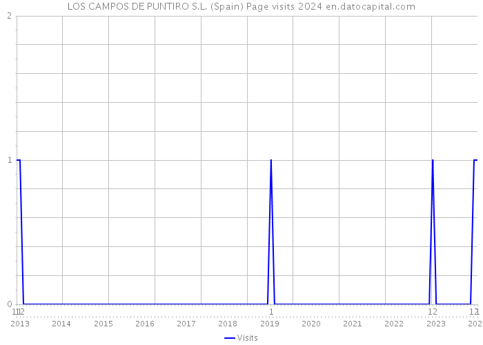 LOS CAMPOS DE PUNTIRO S.L. (Spain) Page visits 2024 
