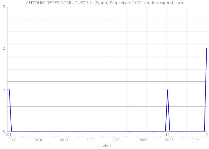 ANTONIO REYES DOMINGUEZ S.L. (Spain) Page visits 2024 