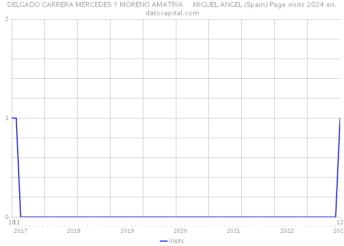 DELGADO CARRERA MERCEDES Y MORENO AMATRIA MIGUEL ANGEL (Spain) Page visits 2024 