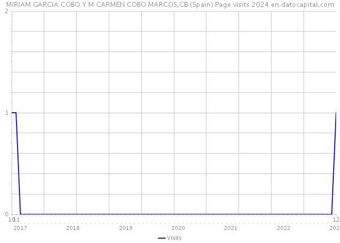 MIRIAM GARCIA COBO Y M CARMEN COBO MARCOS,CB (Spain) Page visits 2024 