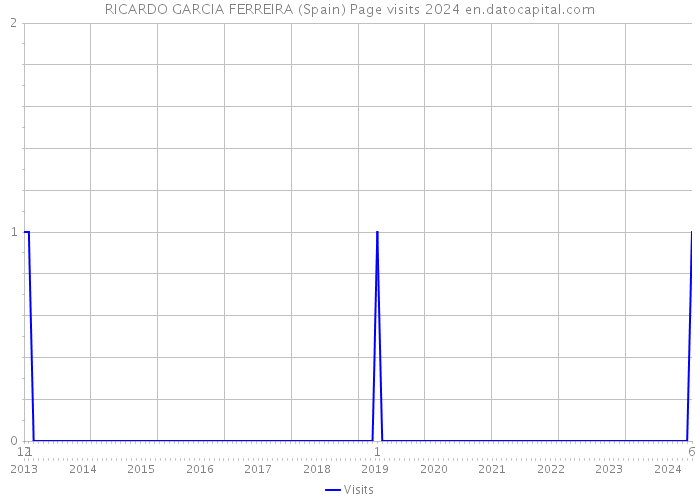 RICARDO GARCIA FERREIRA (Spain) Page visits 2024 