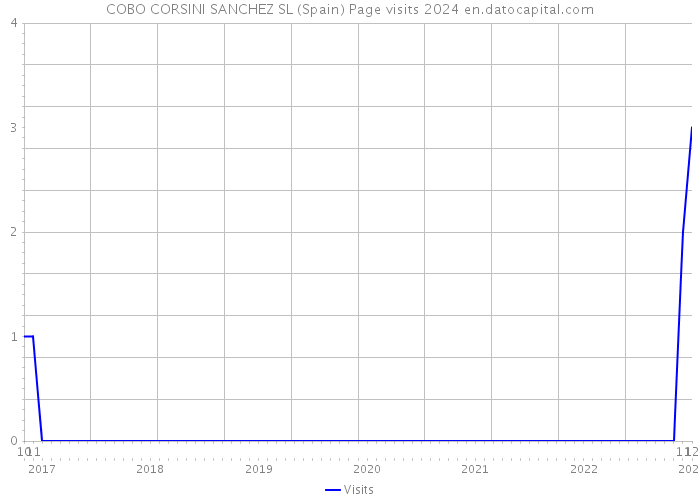 COBO CORSINI SANCHEZ SL (Spain) Page visits 2024 