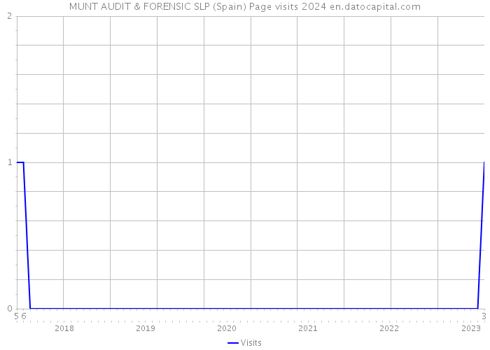 MUNT AUDIT & FORENSIC SLP (Spain) Page visits 2024 