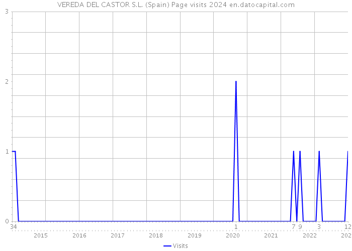 VEREDA DEL CASTOR S.L. (Spain) Page visits 2024 