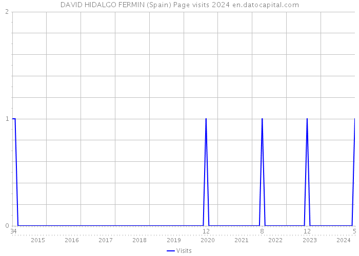 DAVID HIDALGO FERMIN (Spain) Page visits 2024 