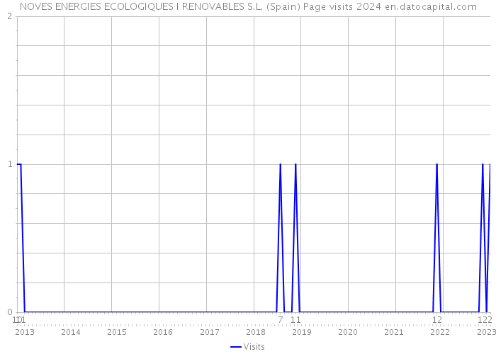NOVES ENERGIES ECOLOGIQUES I RENOVABLES S.L. (Spain) Page visits 2024 