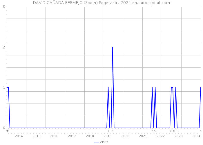 DAVID CAÑADA BERMEJO (Spain) Page visits 2024 