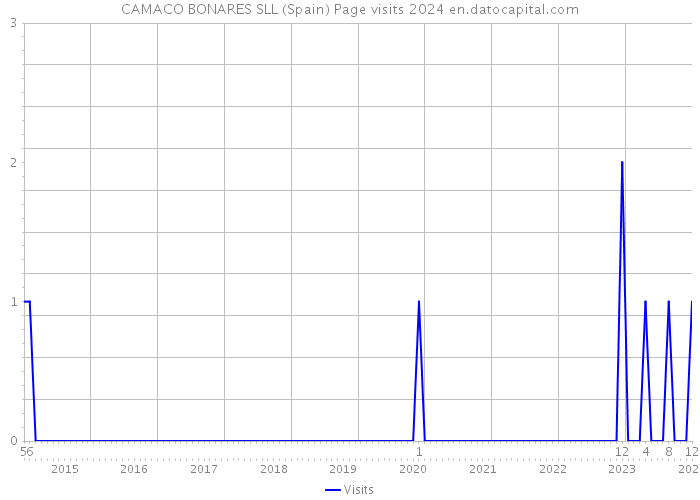 CAMACO BONARES SLL (Spain) Page visits 2024 