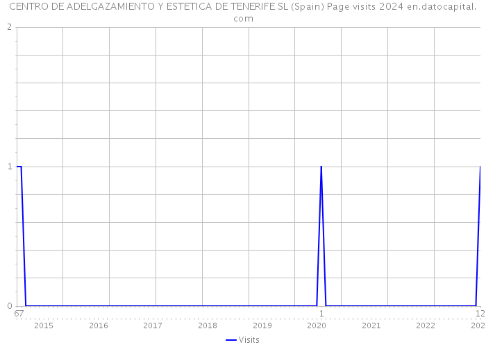 CENTRO DE ADELGAZAMIENTO Y ESTETICA DE TENERIFE SL (Spain) Page visits 2024 