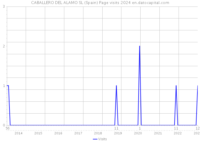 CABALLERO DEL ALAMO SL (Spain) Page visits 2024 