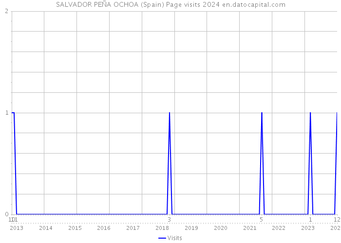 SALVADOR PEÑA OCHOA (Spain) Page visits 2024 