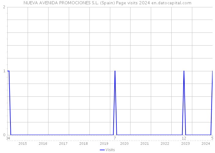NUEVA AVENIDA PROMOCIONES S.L. (Spain) Page visits 2024 