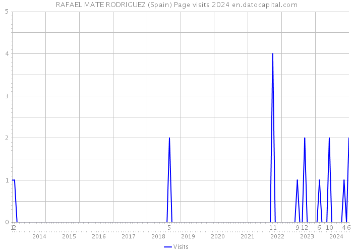 RAFAEL MATE RODRIGUEZ (Spain) Page visits 2024 