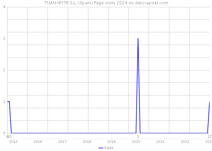 TUAN-BYTE S.L. (Spain) Page visits 2024 