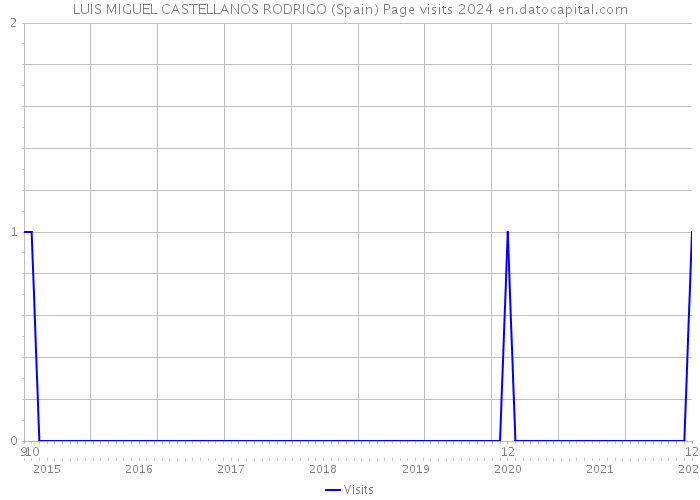 LUIS MIGUEL CASTELLANOS RODRIGO (Spain) Page visits 2024 