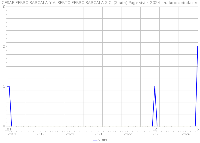CESAR FERRO BARCALA Y ALBERTO FERRO BARCALA S.C. (Spain) Page visits 2024 
