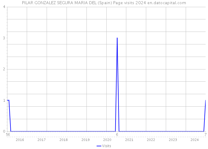 PILAR GONZALEZ SEGURA MARIA DEL (Spain) Page visits 2024 