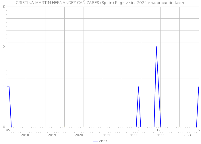 CRISTINA MARTIN HERNANDEZ CAÑIZARES (Spain) Page visits 2024 