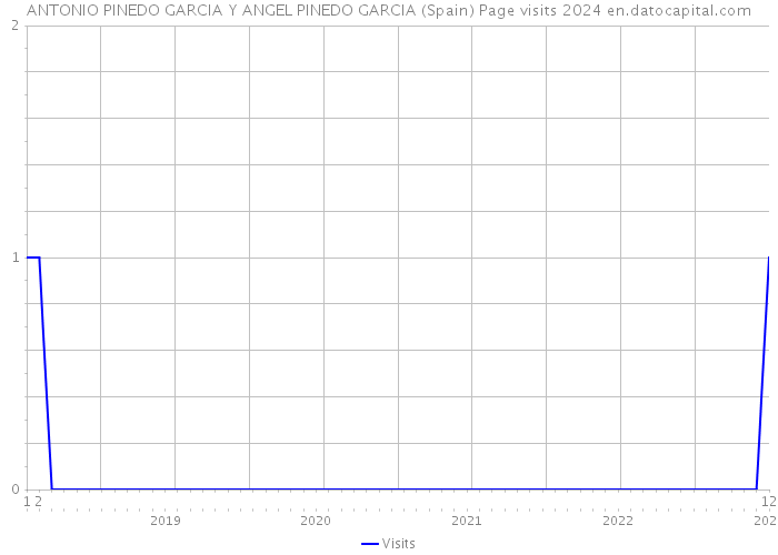 ANTONIO PINEDO GARCIA Y ANGEL PINEDO GARCIA (Spain) Page visits 2024 