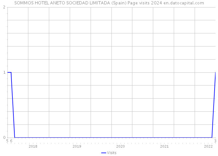 SOMMOS HOTEL ANETO SOCIEDAD LIMITADA (Spain) Page visits 2024 