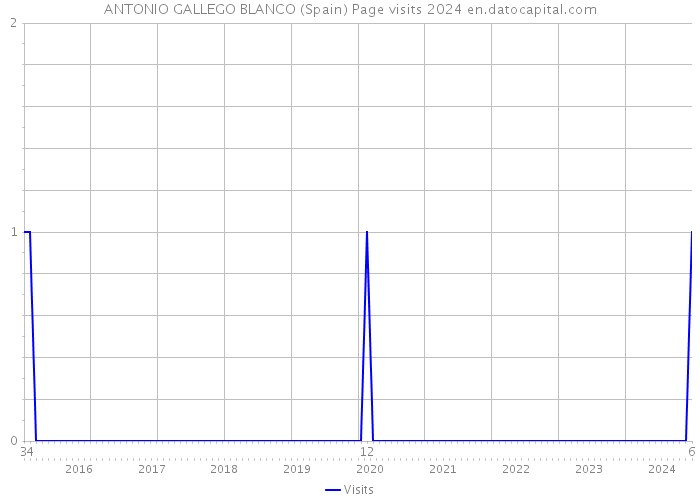 ANTONIO GALLEGO BLANCO (Spain) Page visits 2024 